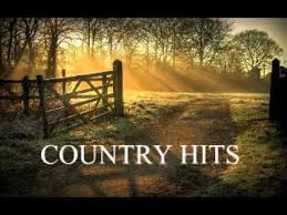 แนว เพลง country